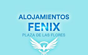 Alojamientos Fenix